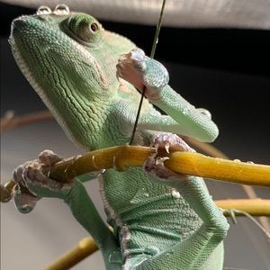 Meet your Posher, Matthew